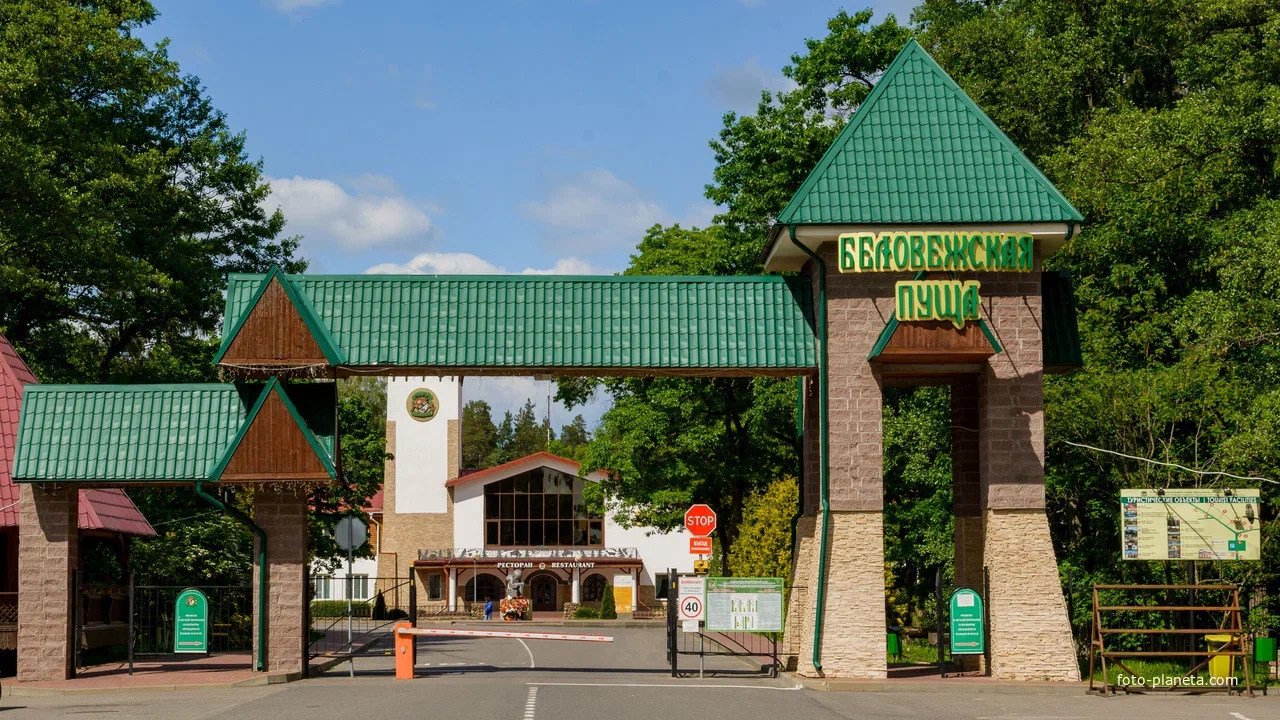 Беловежская пуща